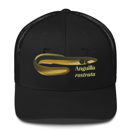 American Eel "Anguilla rostrata" Embroidered Black Trucker Hat Front Mockup