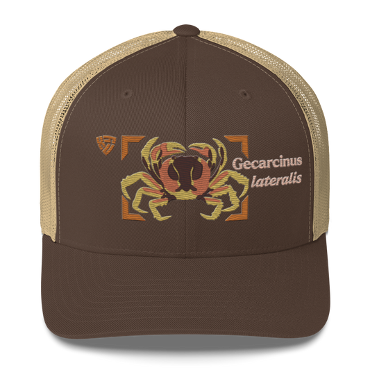 Blackback Land Crab "Gecarcinus lateralis" Embroidered Brown & Khaki Trucker Hat Front Mockup