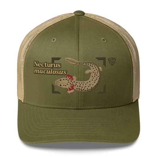 Common Mudpuppy "Necturus maculosus" Embroidered Moss Green & Khaki Trucker Hat Front Mockup