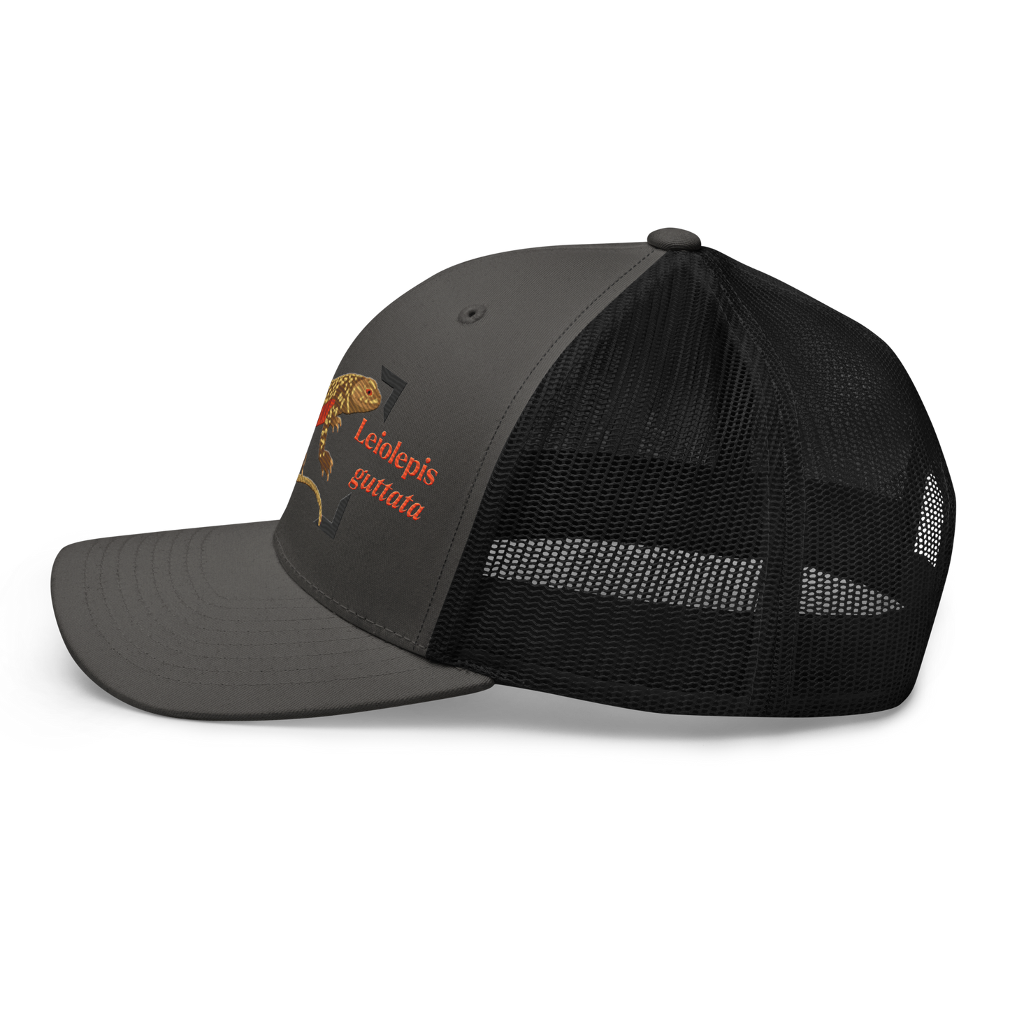 Giant Butterfly Lizard "Leiolepis guttata" Embroidered Charcoal Grey & Black Trucker Hat Left