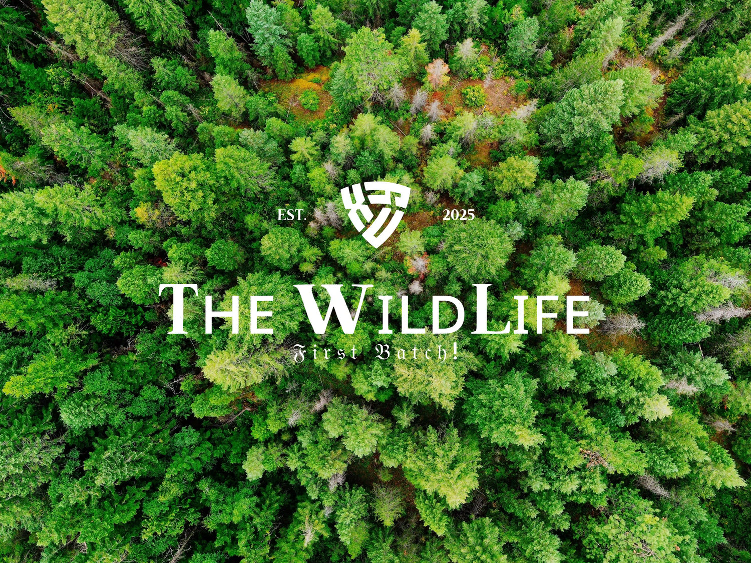 Tʜᴇ WɪʟᴅLɪғᴇ: 𝔉𝔦𝔯𝔰𝔱 𝔅𝔞𝔱𝔠𝔥!