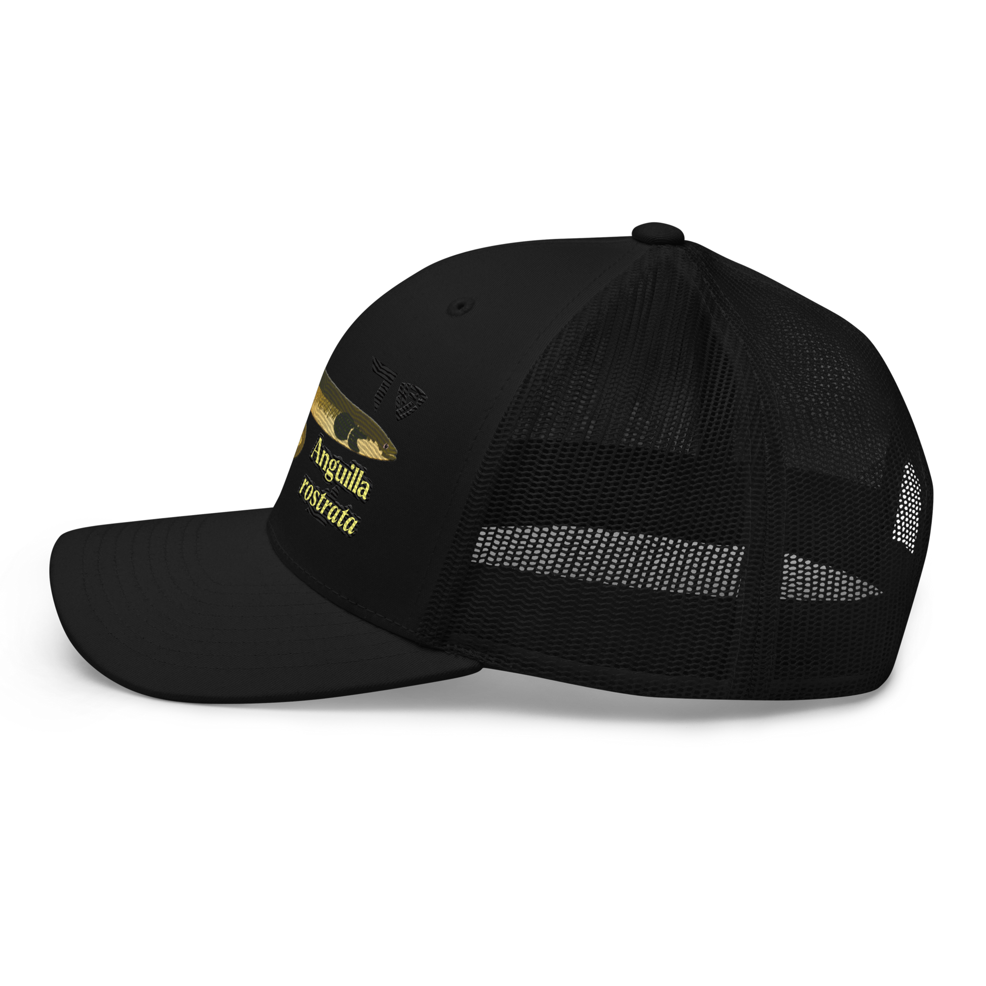 American Eel "Anguilla rostrata" Embroidered Black Trucker Hat Left Mockup