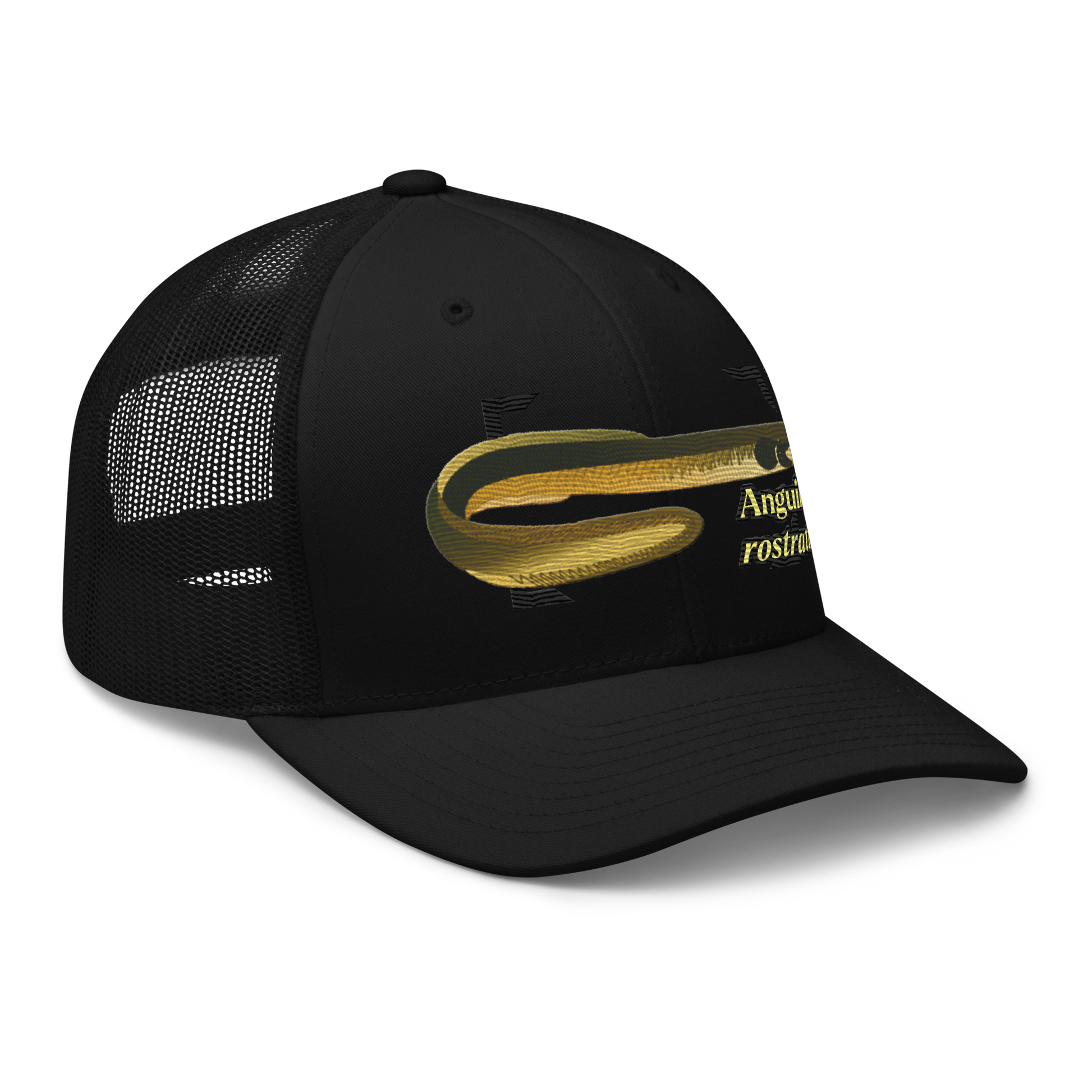 American Eel "Anguilla rostrata" Embroidered Black Trucker Hat Right Front Mockup