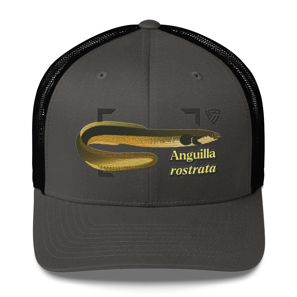 American Eel "Anguilla rostrata" Embroidered Charcoal Grey & Black Trucker Hat Front Mockup