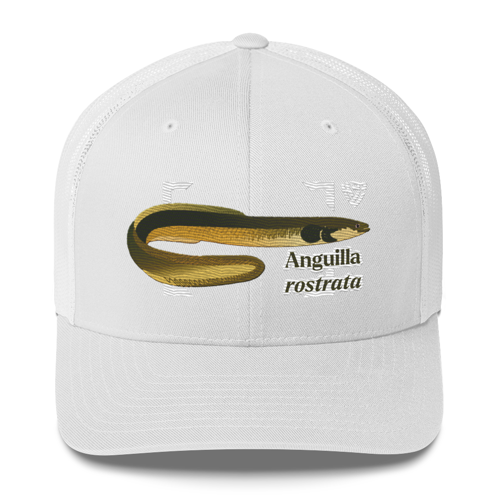 American Eel "Anguilla rostrata" Embroidered White Trucker Hat Front Mockup