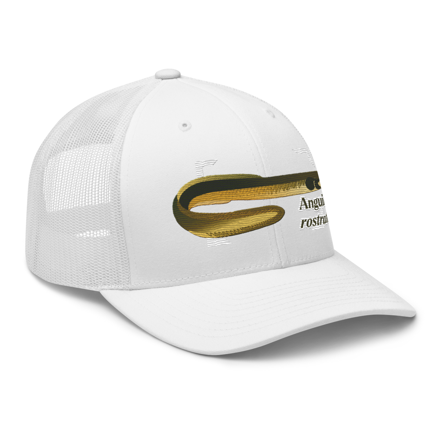 American Eel "Anguilla rostrata" Embroidered White Trucker Hat Right Front Mockup
