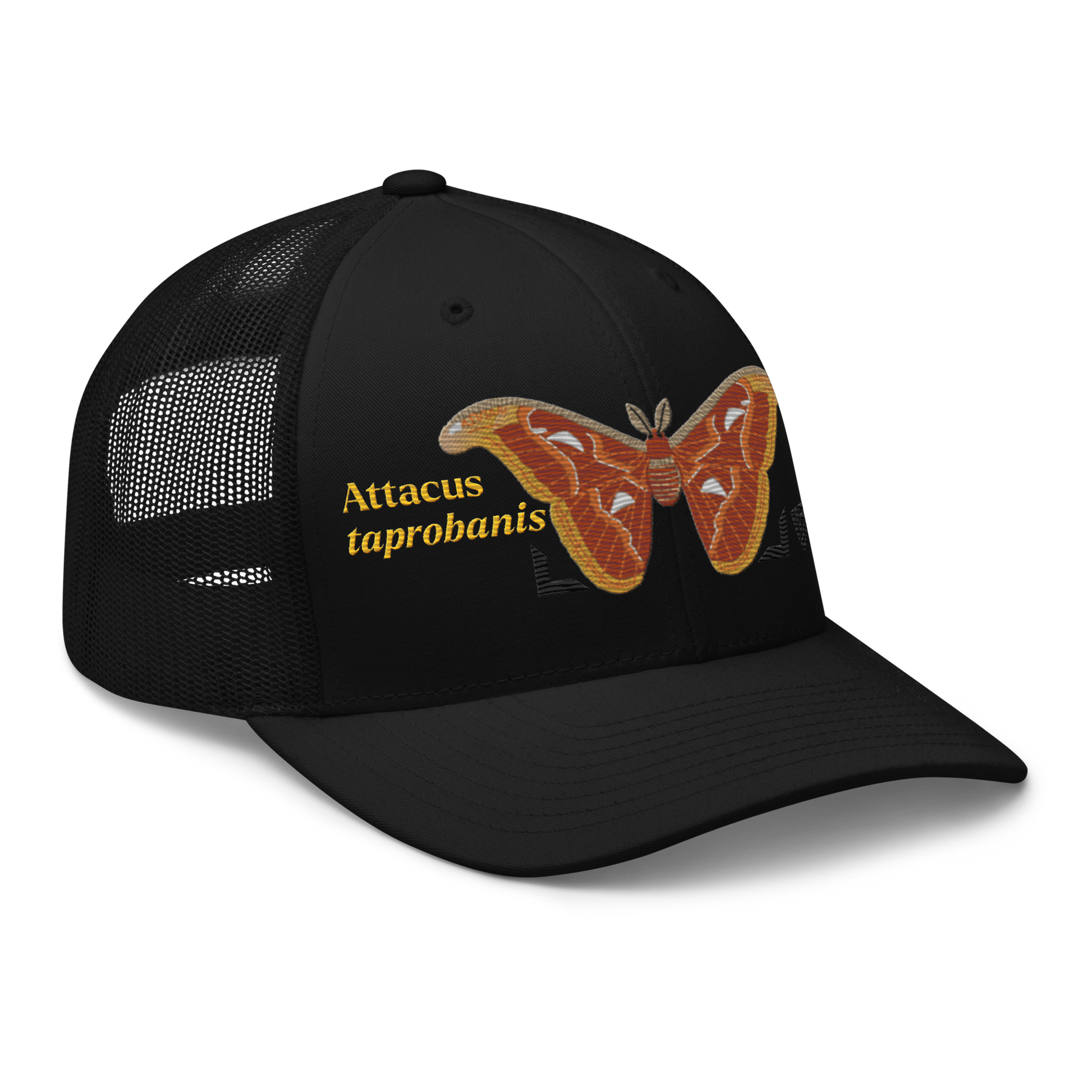 Atlas Moth "Attacus taprobanis" Embroidered Black Trucker Hat Right Front Mockup