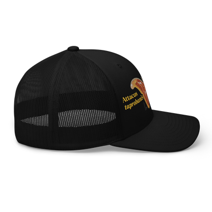 Atlas Moth "Attacus taprobanis" Embroidered Black Trucker Hat Right Mockup