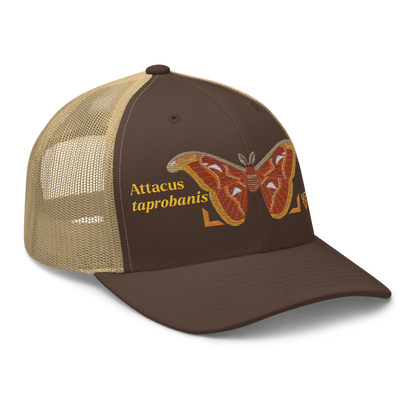Atlas Moth "Attacus taprobanis" Embroidered Brown & Khaki Trucker Hat Right Front Mockup