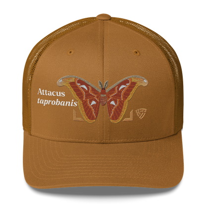 Atlas Moth "Attacus taprobanis" Embroidered Caramel Trucker Hat Front Mockup