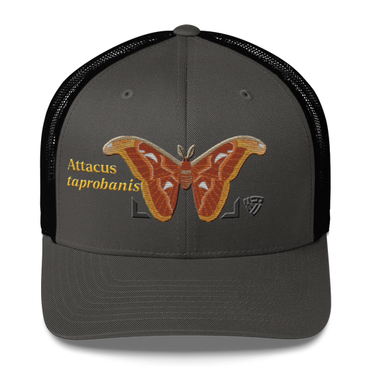 Atlas Moth "Attacus taprobanis" Embroidered Charcoal Grey & Black Trucker Hat Front Mockup
