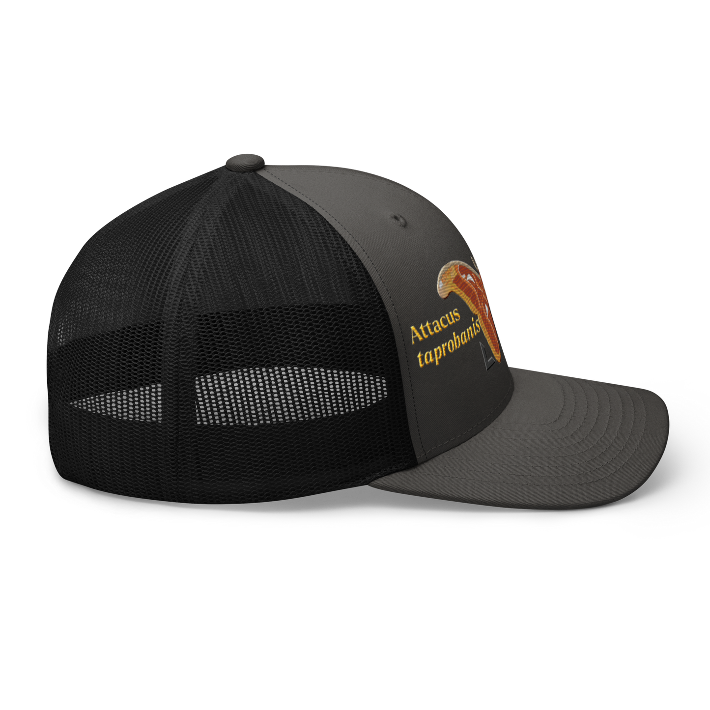 Atlas Moth "Attacus taprobanis" Embroidered Charcoal Grey & Black Trucker Hat Right Mockup