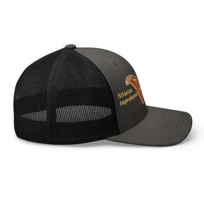 Atlas Moth "Attacus taprobanis" Embroidered Charcoal Grey & Black Trucker Hat Right Mockup