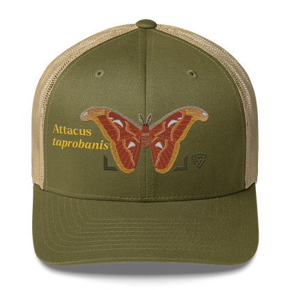 Atlas Moth "Attacus taprobanis" Embroidered Moss Green & Khaki Trucker Hat Front Mockup