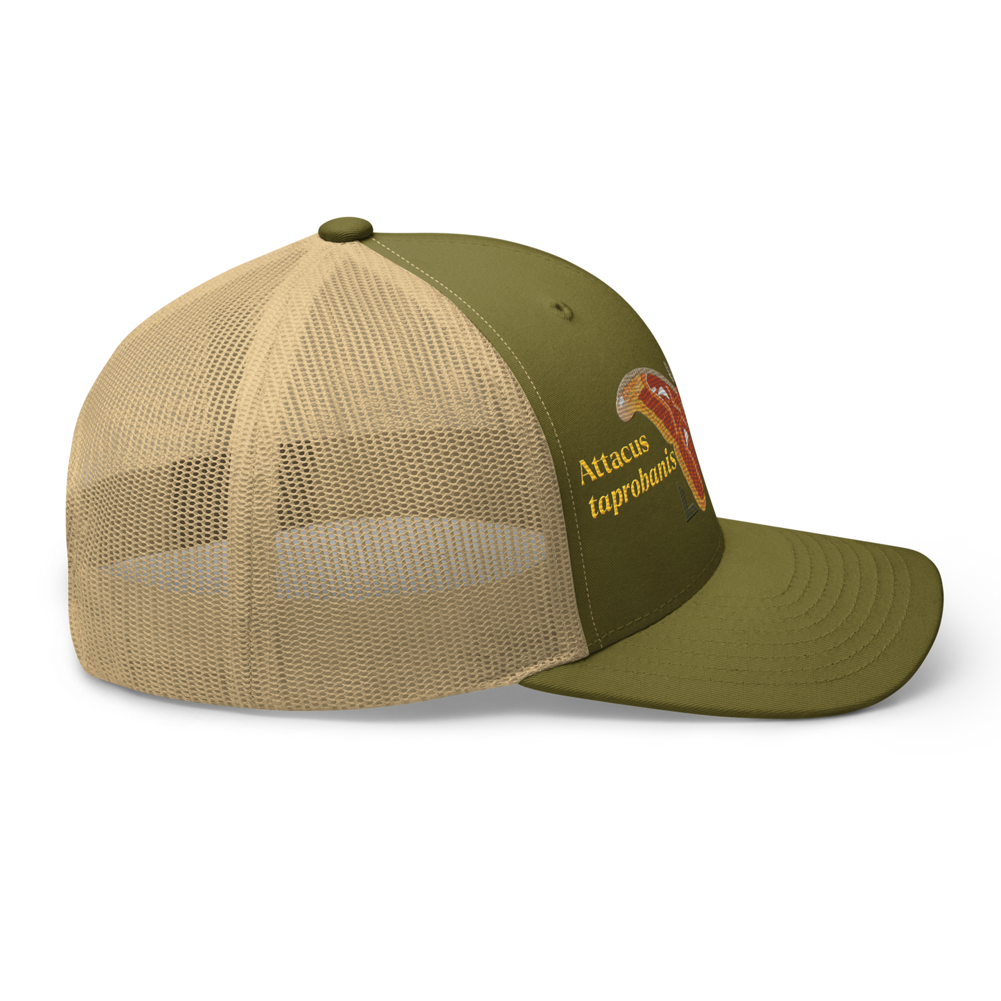 Atlas Moth "Attacus taprobanis" Embroidered Moss Green & Khaki Trucker Hat Right Mockup