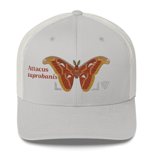 Atlas Moth "Attacus taprobanis" Embroidered Silver Trucker Hat Front Mockup