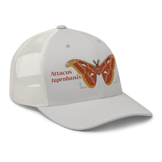 Atlas Moth "Attacus taprobanis" Embroidered Silver Trucker Hat Right Front Mockup