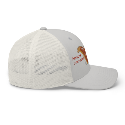 Atlas Moth "Attacus taprobanis" Embroidered Silver Trucker Hat Right Mockup