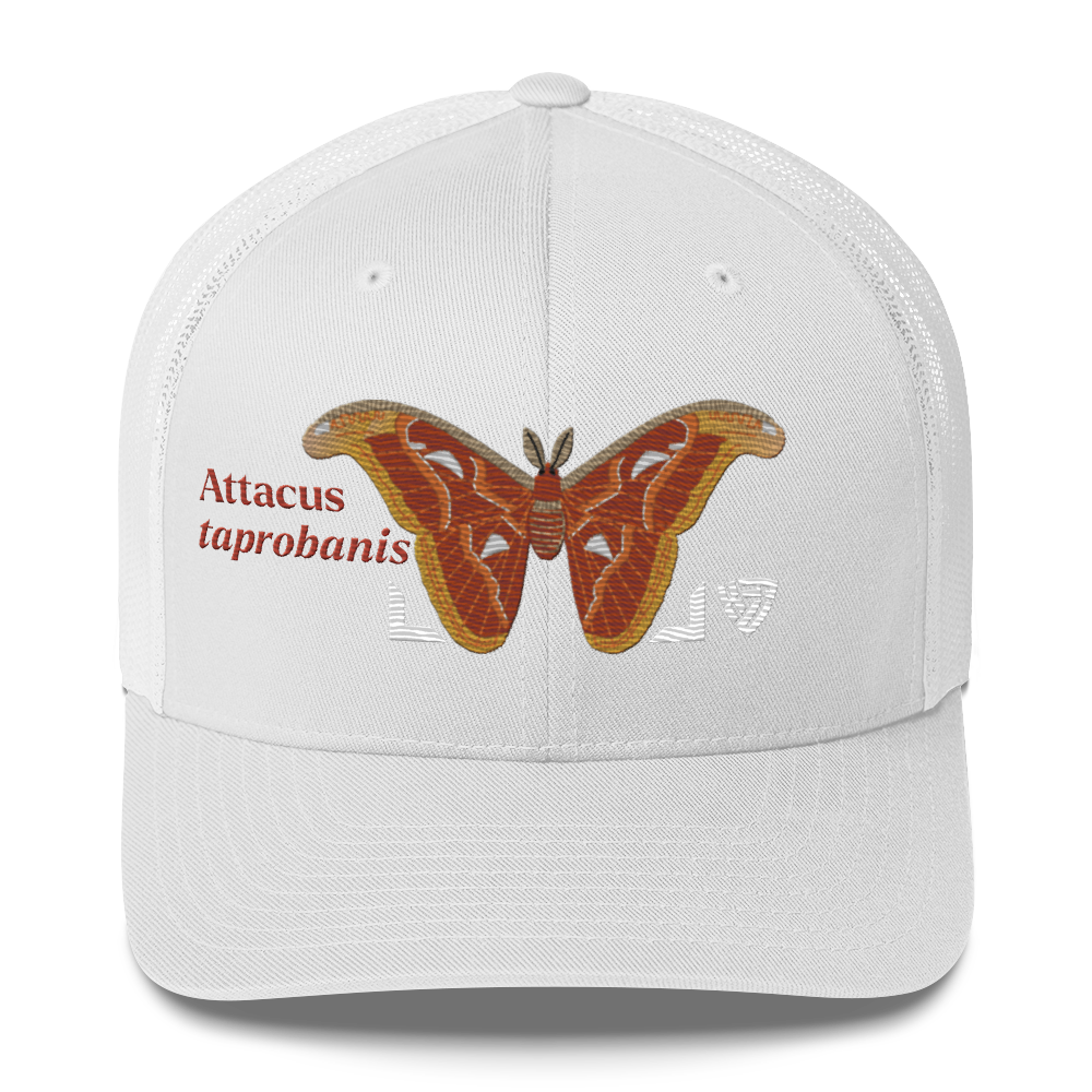 Atlas Moth "Attacus taprobanis" Embroidered White Trucker Hat Front Mockup