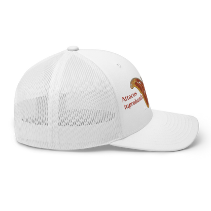 Atlas Moth "Attacus taprobanis" Embroidered White Trucker Hat Right Mockup