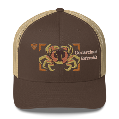 Blackback Land Crab "Gecarcinus lateralis" Embroidered Brown & Khaki Trucker Hat Front Mockup