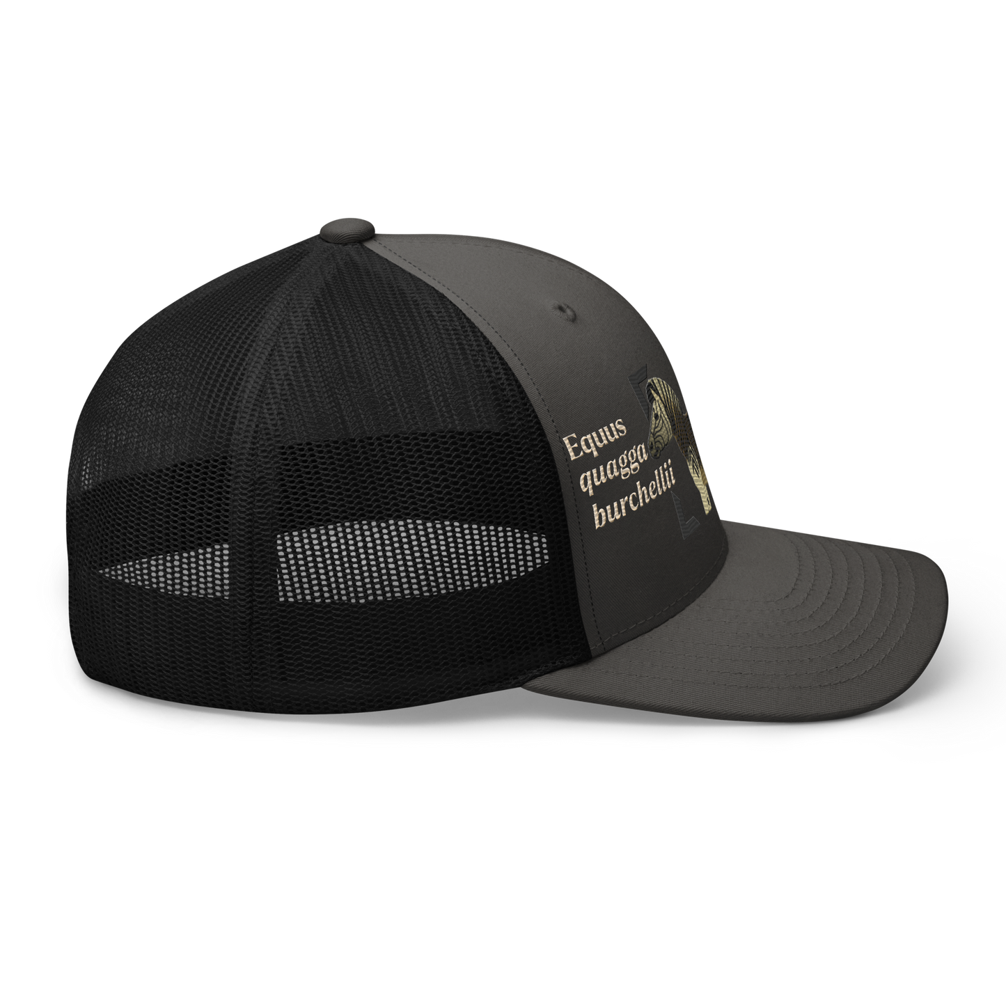 Bontequagga "Equua quagga burchellii" Embroidered Charcoal Grey & Black Trucker Hat Right Mockup