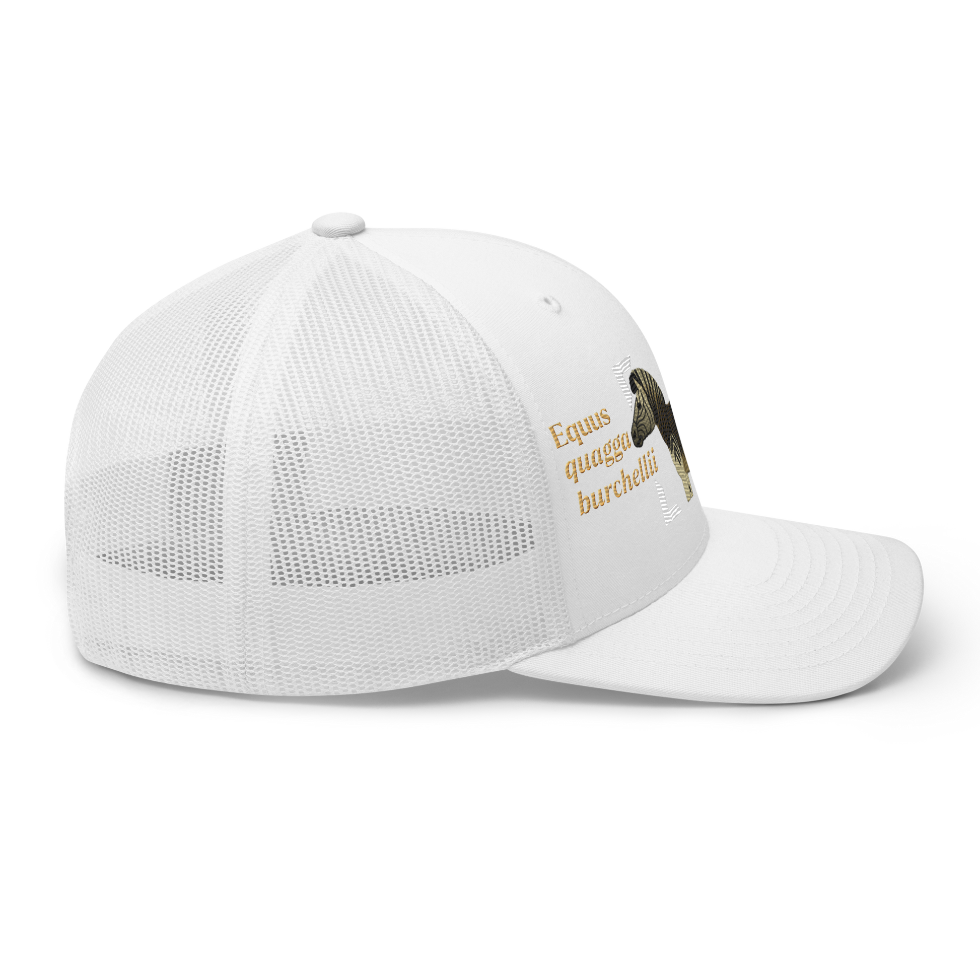 Bontequagga "Equua quagga burchellii" Embroidered White Trucker Hat Right Mockup