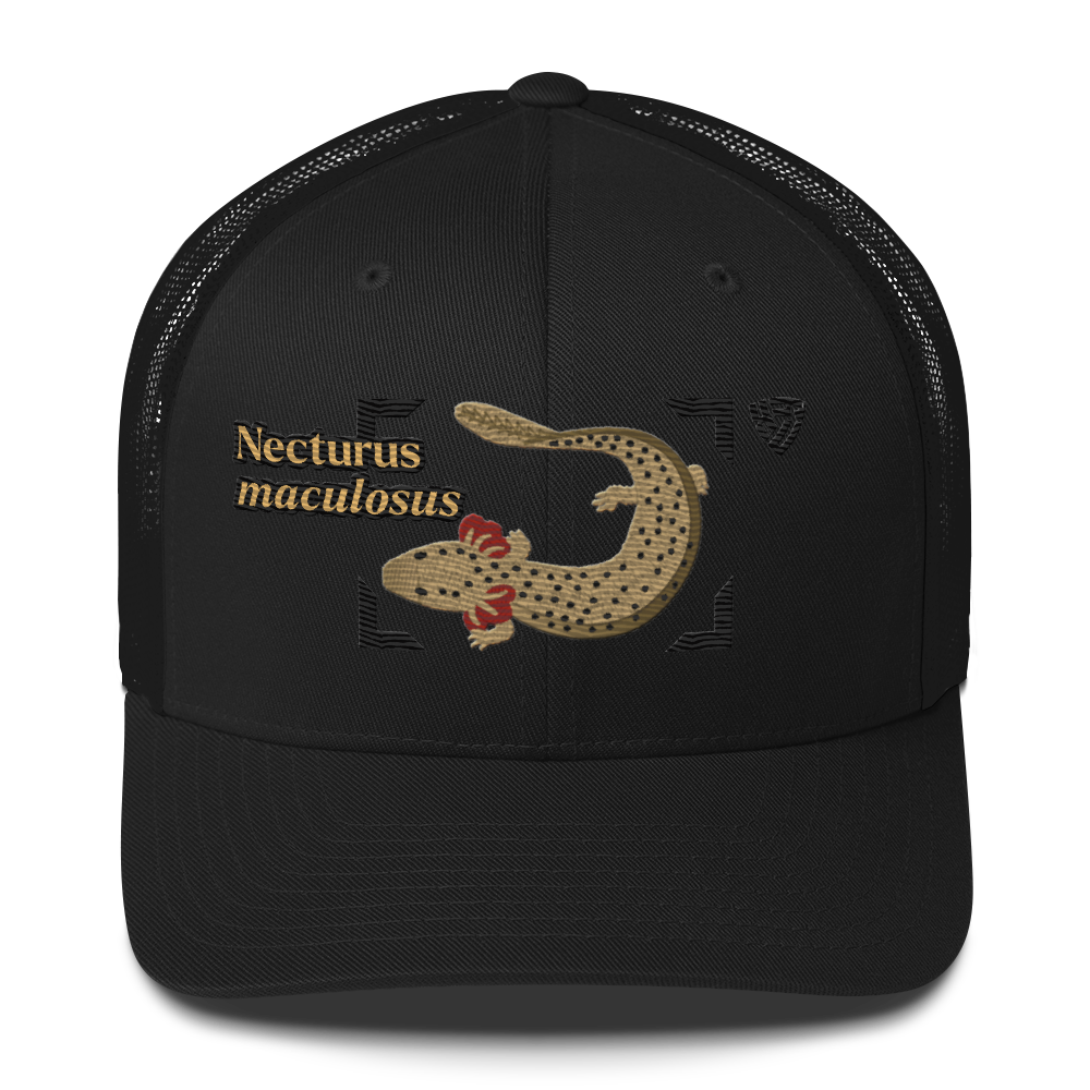 Common Mudpuppy "Necturus maculosus" Embroidered Black Trucker Hat Front Mockup