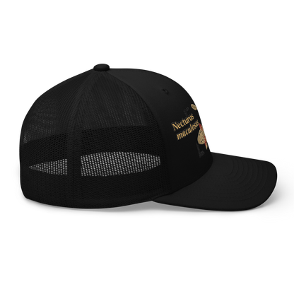 Common Mudpuppy "Necturus maculosus" Embroidered Black Trucker Hat Right Mockup