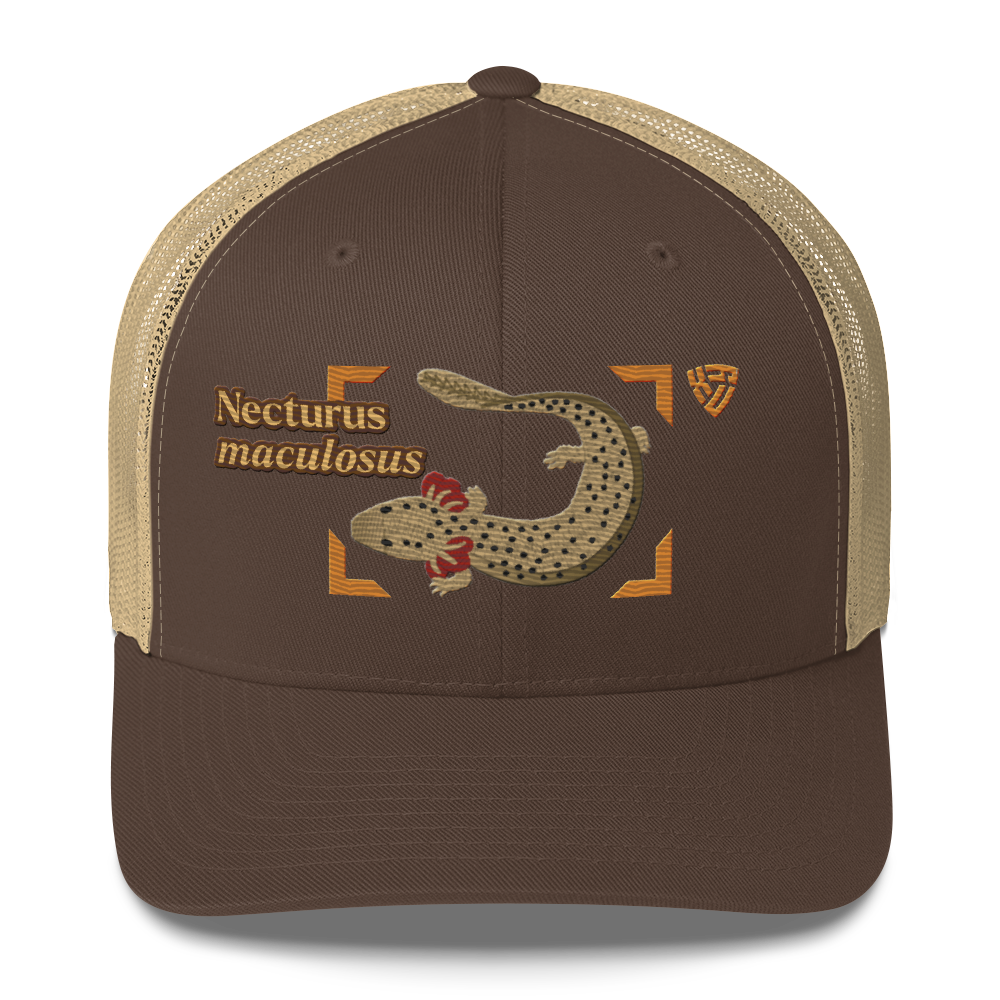 Common Mudpuppy "Necturus maculosus" Embroidered Brown & Khaki Trucker Hat Front Mockup