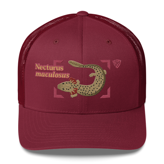 Common Mudpuppy "Necturus maculosus" Embroidered Cranberry Red Trucker Hat Front Mockup