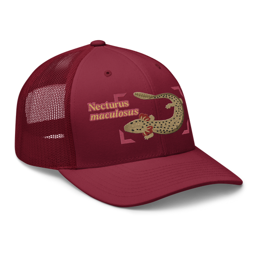 Common Mudpuppy "Necturus maculosus" Embroidered Cranberry Red Trucker Hat Right Front Mockup