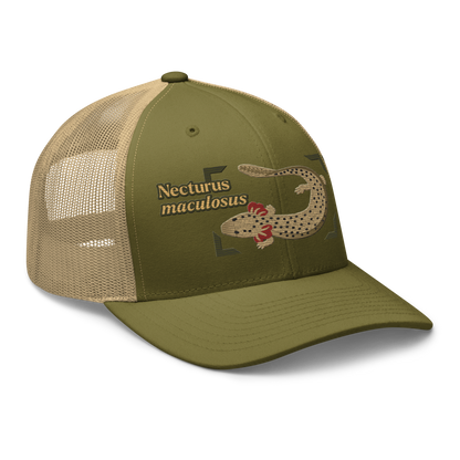 Common Mudpuppy "Necturus maculosus" Embroidered Moss Green & Khaki Trucker Hat Right Front Mockup