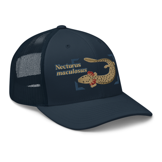 Common Mudpuppy "Necturus maculosus" Embroidered Navy Blue Trucker Hat Right Front Mockup