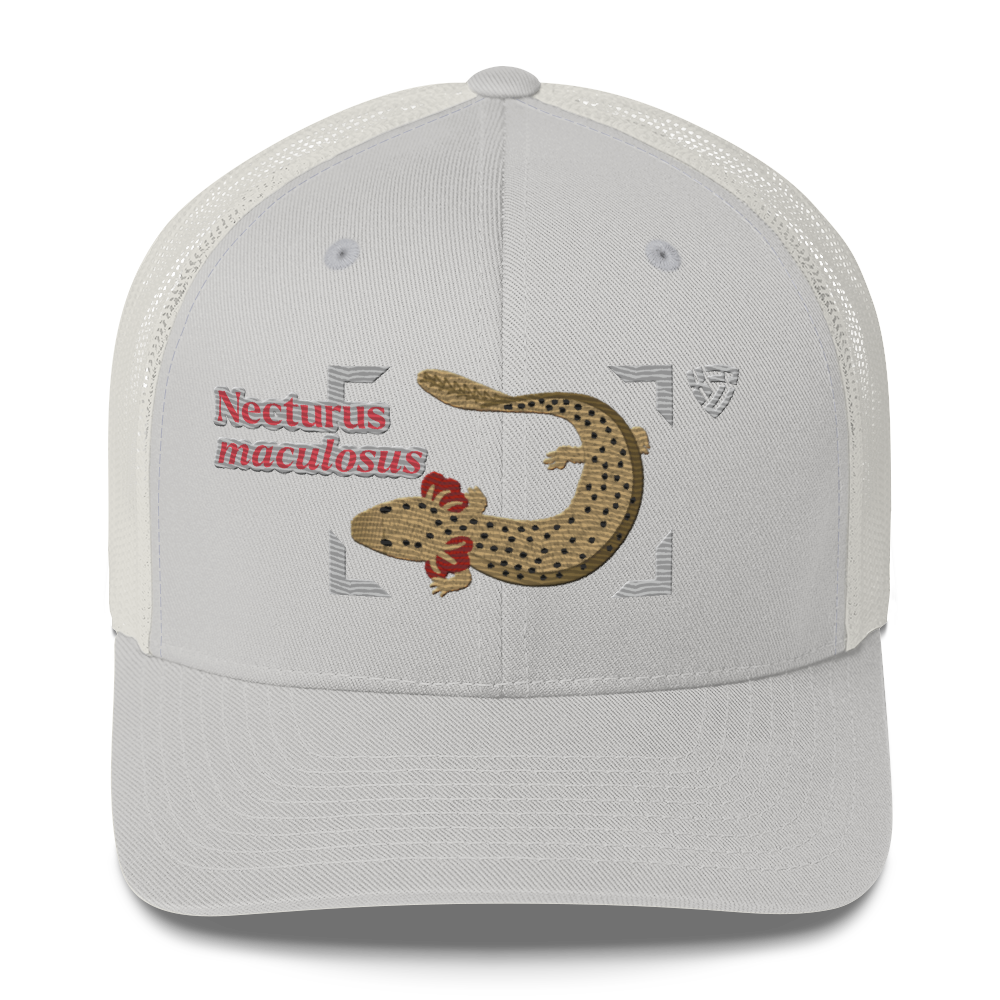 Common Mudpuppy "Necturus maculosus" Embroidered Silver Trucker Hat Front Mockup