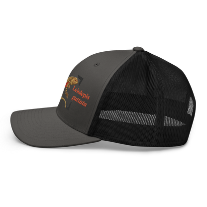 Giant Butterfly Lizard "Leiolepis guttata" Embroidered Charcoal Grey & Black Trucker Hat Left