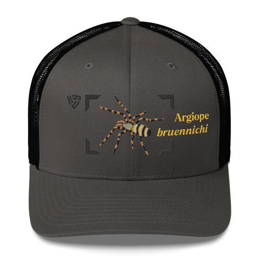 Wasp Spider "Argiope bruennichi" Embroidered Charcoal Grey & Black Trucker Hat Front View