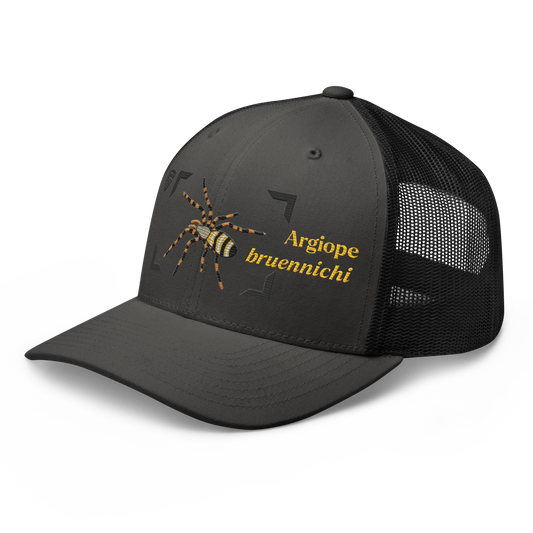 Wasp Spider "Argiope bruennichi" Embroidered Charcoal Grey & Black Trucker Hat Left Front View